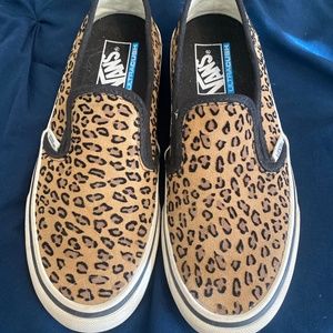 Cheetah vans